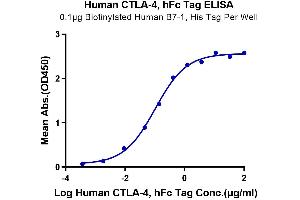 ELISA image for Cytotoxic T-Lymphocyte-Associated Protein 4 (CTLA4) (AA 36-161) protein (Fc Tag) (ABIN7274436)