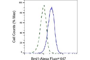 Validation of Bmi1 knockdown using flow cytometry. (Recombinant BMI1 anticorps)
