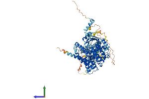 AlphaFold protein structure predicition of Mouse Recombinant Pde5a Protein, UniprotID Q8CG03