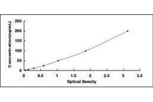 Hemopexin (HPX) ELISA Kit