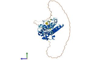 AlphaFold protein structure predicition of Human Recombinant KTI12 Protein, UniprotID Q96EK9