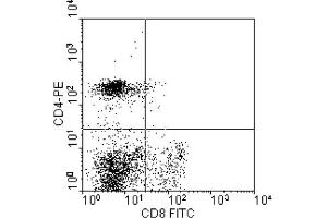 Flow Cytometry (FACS) image for anti-CD8 (CD8) antibody (FITC) (ABIN371298) (CD8 anticorps  (FITC))