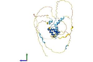 AlphaFold protein structure predicition of Human Recombinant RAX Protein, UniprotID Q9Y2V3