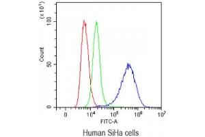 Flow cytometry testing of human SiHa cells with Mesothelin antibody at 1ug/10^6 cells (blocked with goat sera) (Mesothelin anticorps  (AA 306-576))
