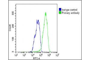 Overlay histogram showing HepG2 cells stained with (ABIN1538142 and ABIN2848639)(green line). (Selenoprotein P anticorps  (AA 233-262))