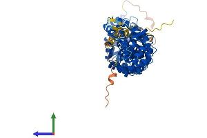 AlphaFold protein structure predicition of Human Recombinant KPNA1 Protein, UniprotID P52294