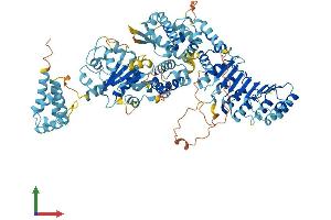 AlphaFold protein structure predicition of Mouse Recombinant Nlrp6 Protein, UniprotID Q91WS2