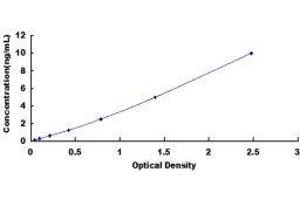 Acid Phosphatase 2, Lysosomal (ACP2) ELISA Kit