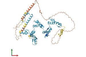 AlphaFold protein structure predicition of Human Recombinant ZNF765 Protein, UniprotID Q7L2R6