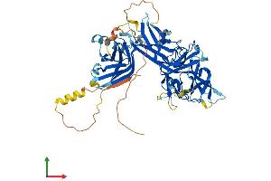 AlphaFold protein structure predicition of Human Recombinant RBPJL Protein, UniprotID Q9UBG7
