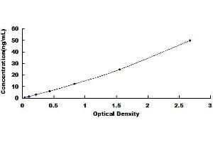 Typical standard curve (CYP2E1 Kit ELISA)