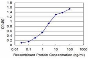 Detection limit for recombinant GST tagged BOLL is approximately 0. (BOLL anticorps  (AA 185-283))