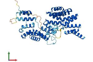 AlphaFold protein structure predicition of Mouse Recombinant Ttc8 Protein, UniprotID Q8VD72