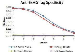 ELISA of Mouse anti-6xHIS Tag Antibody. (His Tag anticorps)