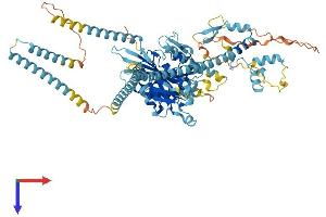 AlphaFold protein structure predicition of Mouse Recombinant Kif3b Protein, UniprotID Q61771