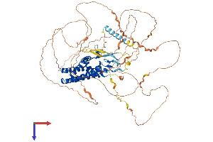AlphaFold protein structure predicition of Human Recombinant ZDHHC8 Protein, UniprotID Q9ULC8