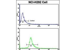 Flow cytometric analysis of NCI-H292 cells using ELP2 Antibody (bottom histogram) compared to a negative control cell (top histogram). (ELP2 anticorps  (C-Term))