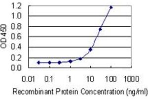 Detection limit for recombinant GST tagged POLRMT is 0.