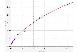 Slit Homolog 2 (Drosophila) (SLIT2) ELISA Kit