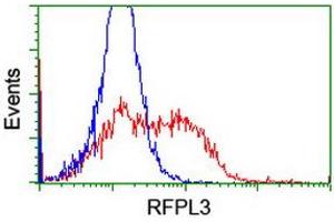 HEK293T cells transfected with either RC206518 overexpress plasmid (Red) or empty vector control plasmid (Blue) were immunostained by anti-RFPL3 antibody (ABIN2455787), and then analyzed by flow cytometry. (RFPL3 anticorps)