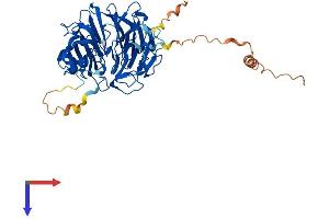 AlphaFold protein structure predicition of Human Recombinant SERGEF Protein, UniprotID Q9UGK8
