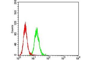 Flow cytometric analysis of Hela cells using HAVCR1 mouse mAb (green) and negative control (red).