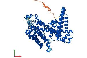 AlphaFold protein structure predicition of Human Recombinant MBOAT7 Protein, UniprotID Q96N66