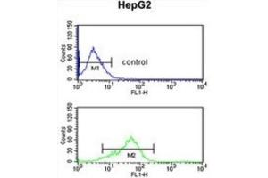 Flow Cytometry (FACS) image for anti-B-Cell Scaffold Protein with Ankyrin Repeats 1 (BANK1) antibody (ABIN3003860)