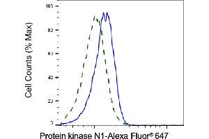 Validation of Protein kinase N1 knockdown using flow cytometry.