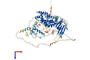 AlphaFold protein structure predicition of Human Recombinant PGBD1 Protein, UniprotID Q96JS3
