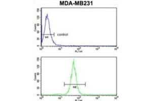 Flow Cytometry (FACS) image for anti-Trans-Golgi Network Protein 2 (TGOLN2) antibody (ABIN3003981)