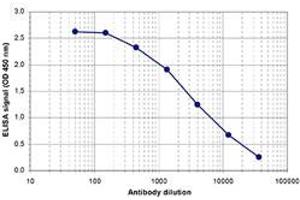 ELISA is a quantitative method used to determine the titer of the antibody using a serial dilution of antibody against human EIF2C1. (AGO1 anticorps  (C-Term))
