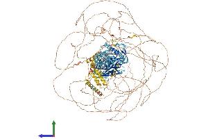 AlphaFold protein structure predicition of Mouse Recombinant Med1 Protein, UniprotID Q925J9