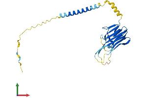 AlphaFold protein structure predicition of Mouse Recombinant Tnfsf14 Protein, UniprotID Q9QYH9