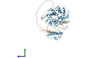 AlphaFold protein structure predicition of Human Recombinant ZNF37A Protein, UniprotID P17032