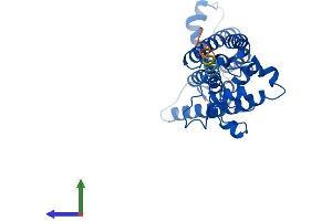AlphaFold protein structure predicition of Mouse Recombinant Sc5d Protein, UniprotID O88822