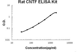 Rat CNTF PicoKine ELISA Kit standard curve (CNTF Kit ELISA)