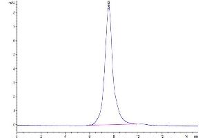 The purity of Biotinylated CD30 is greater than 95 % as determined by SEC-HPLC.