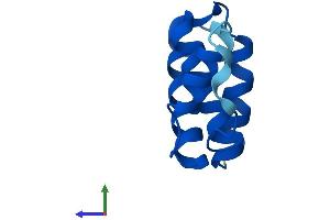 AlphaFold protein structure predicition of Mouse Recombinant Acbd7 Protein, UniprotID Q9D258