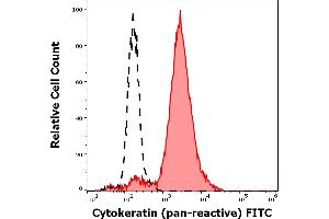 Separation of HeLa cells (red-filled) stained using anti-Cytokeratins (C-11) FITC antibody (concentration in sample 3 μg/mL) from unstained HeLa cells (black-dashed) in flow cytometry analysis (intracellular staining). (pan Keratin anticorps  (FITC))