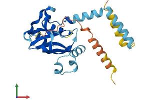 AlphaFold protein structure predicition of Mouse Recombinant Lrat Protein, UniprotID Q9JI60