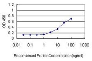 Detection limit for recombinant GST tagged SERPINE1 is approximately 0. (PAI1 anticorps  (AA 86-185))