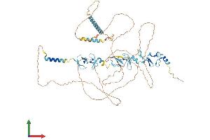 AlphaFold protein structure predicition of Human Recombinant LIMD1 Protein, UniprotID Q9UGP4