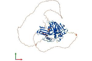 AlphaFold protein structure predicition of Human Recombinant USP2 Protein, UniprotID O75604