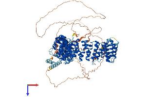 AlphaFold protein structure predicition of Mouse Recombinant Ppp4r1 Protein, UniprotID Q8K2V1