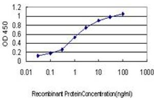Detection limit for recombinant GST tagged EIF5A2 is approximately 0.