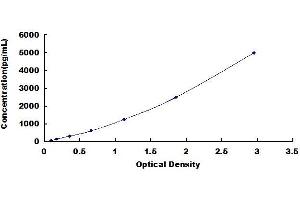 Typical standard curve (LECT2 Kit ELISA)