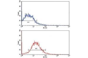 Flow cytometric analysis of HepG2 cells using EPHB2 antibody (red) compared to a negative control (blue).