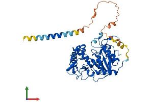 AlphaFold protein structure predicition of Human Recombinant ST8SIA3 Protein, UniprotID O43173