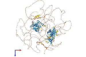 AlphaFold protein structure predicition of Human Recombinant IL16 Protein, UniprotID Q14005